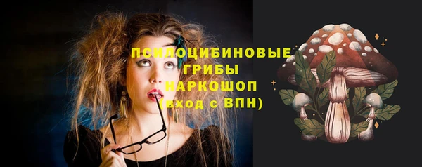 шишки Балахна