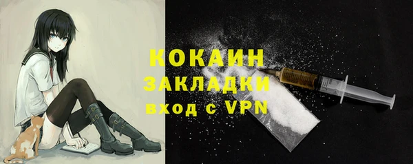 шишки Балахна