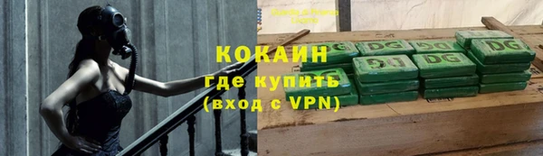 шишки Балахна