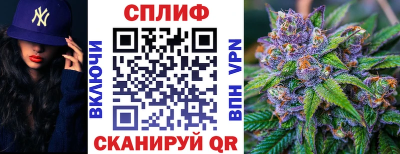 Шишки марихуана план  Соль-Илецк 